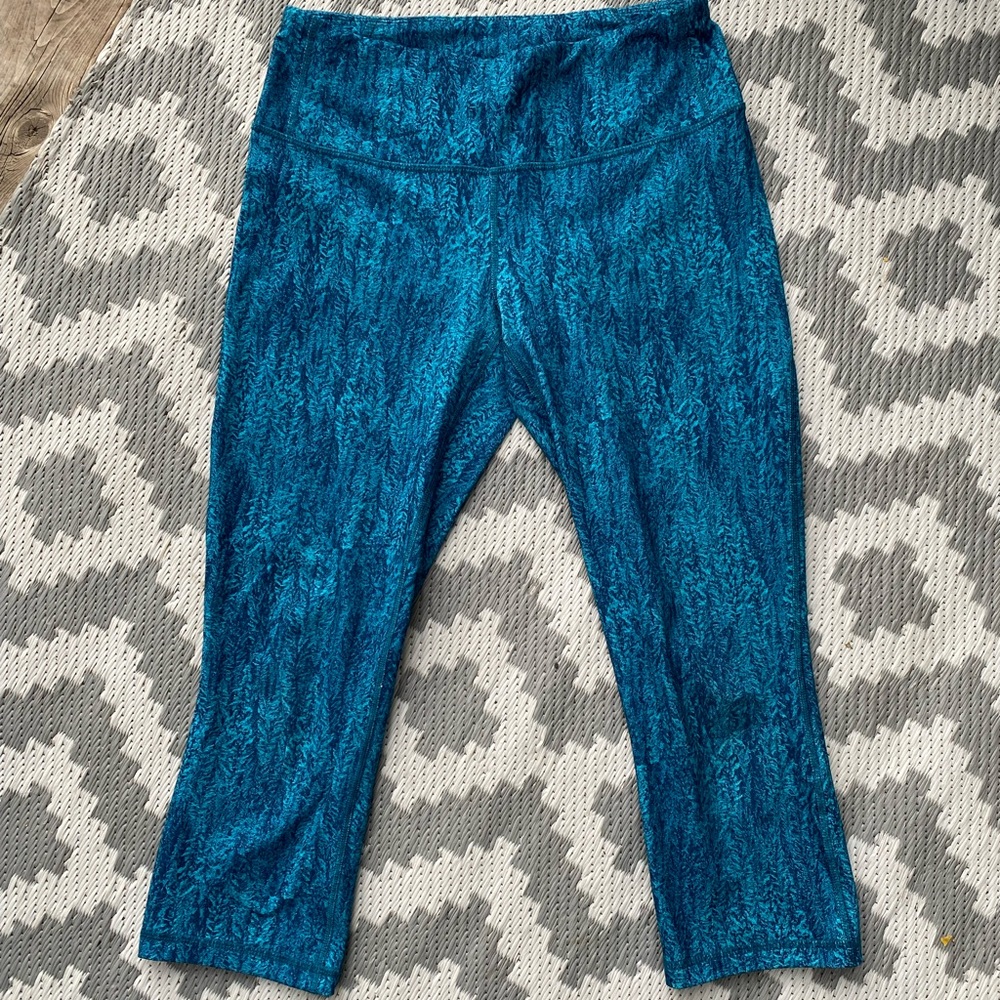 Patagonia centred crops
